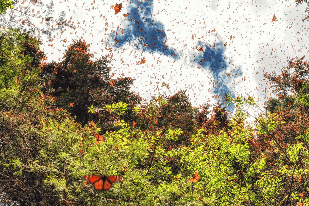 Image Stovell`s Blog