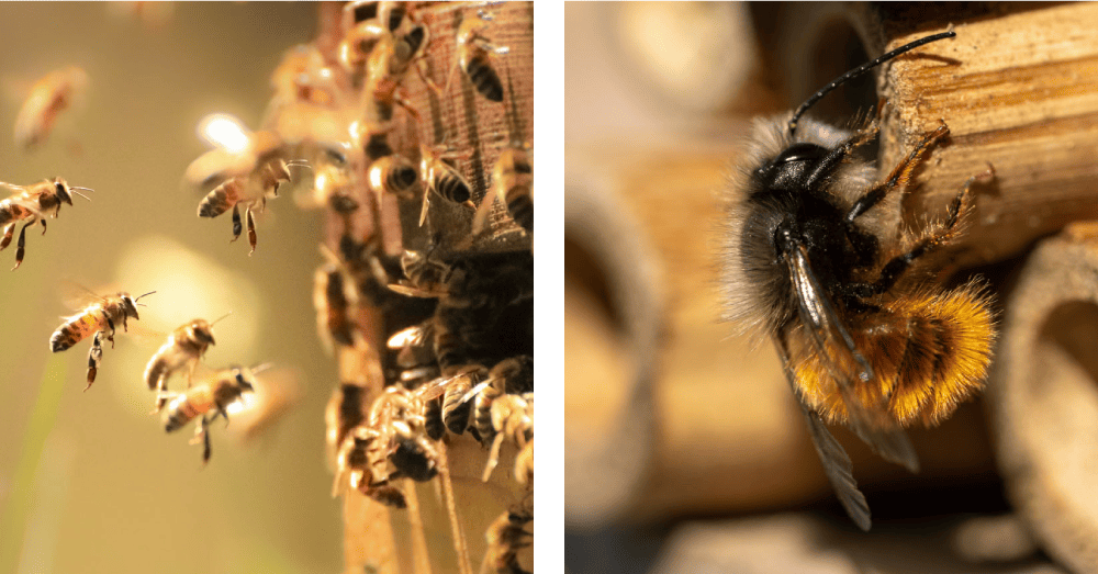 Image Stovell`s Blog