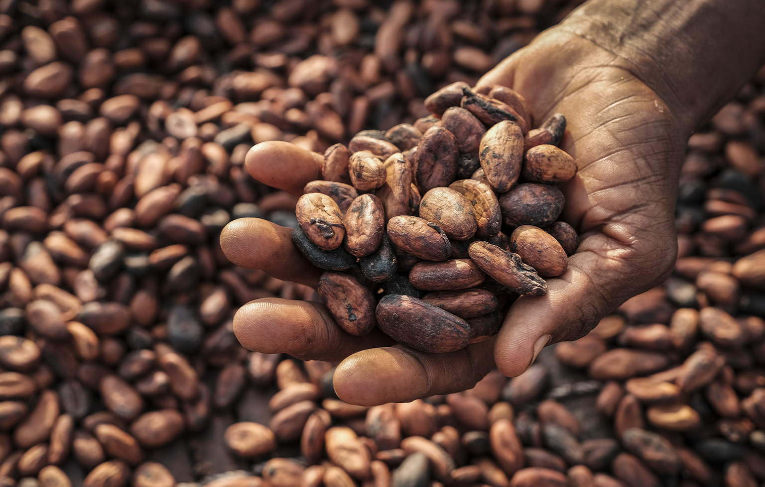 Image Stovell`s Blog