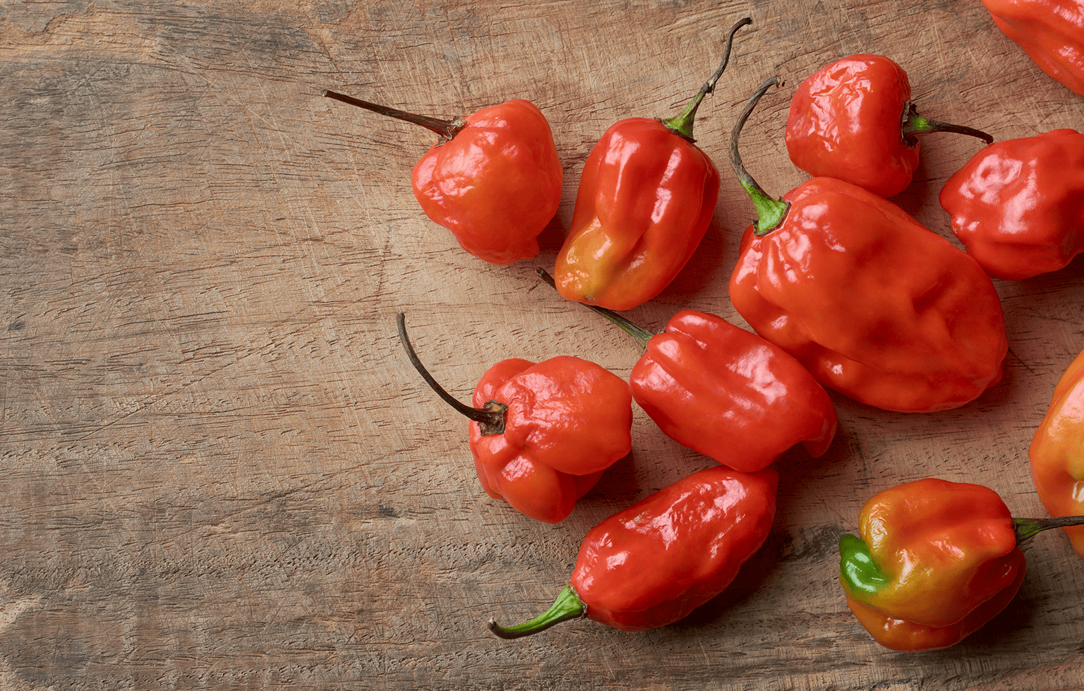 Image Stovell`s Blog