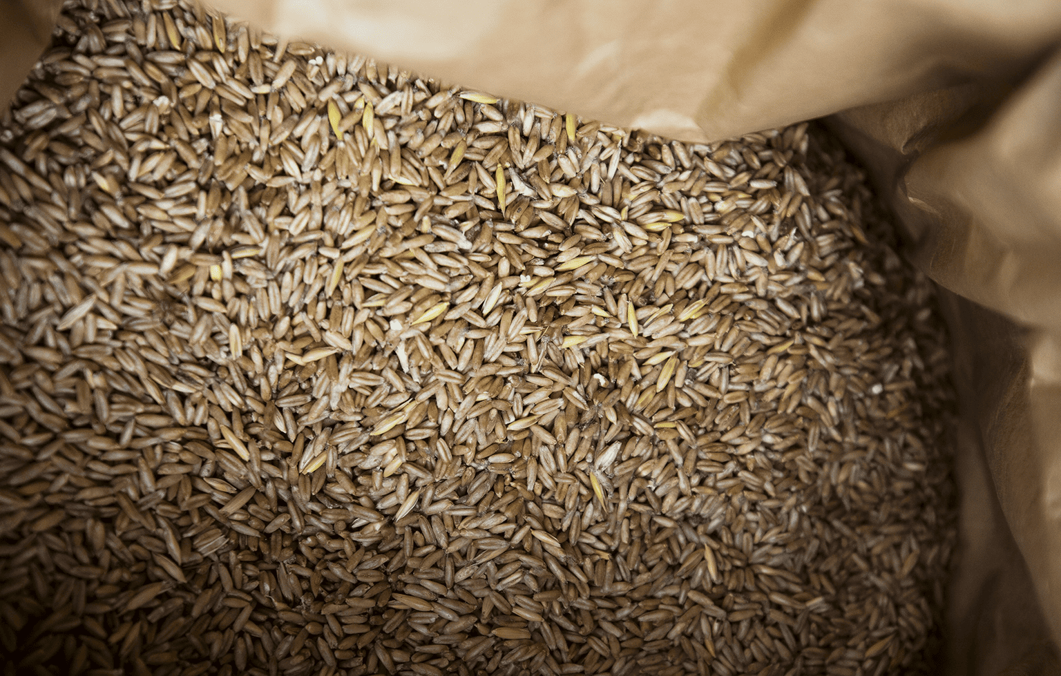 Image Stovell`s Blog