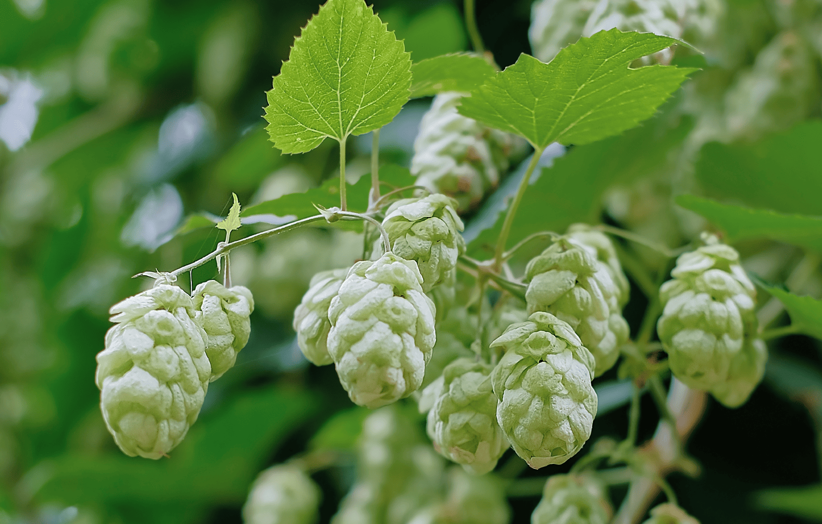 Image Stovell`s Blog