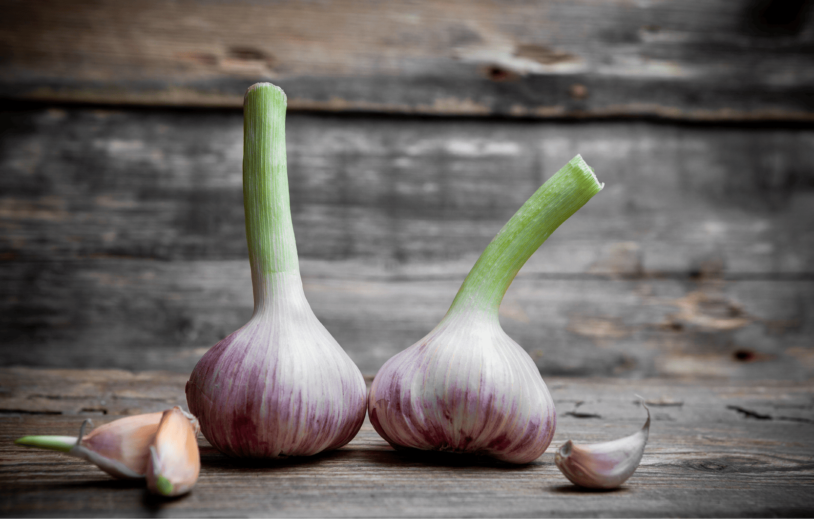 Image Stovell`s Blog