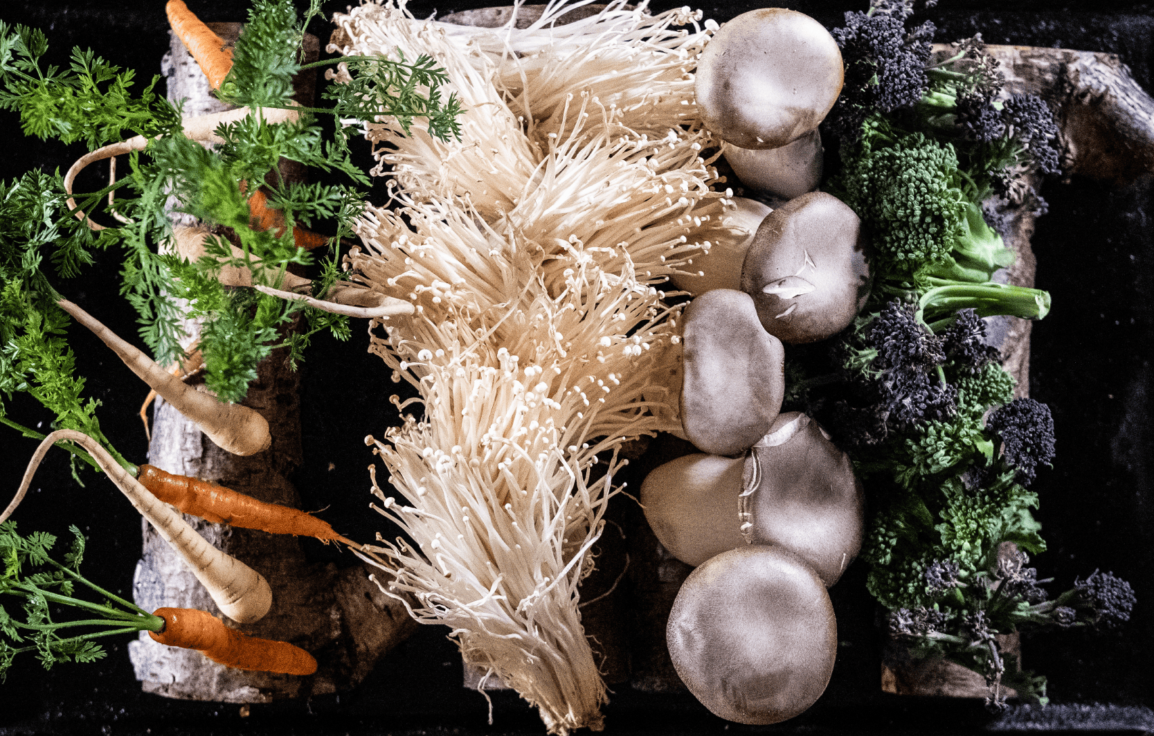 Image Stovell`s Blog