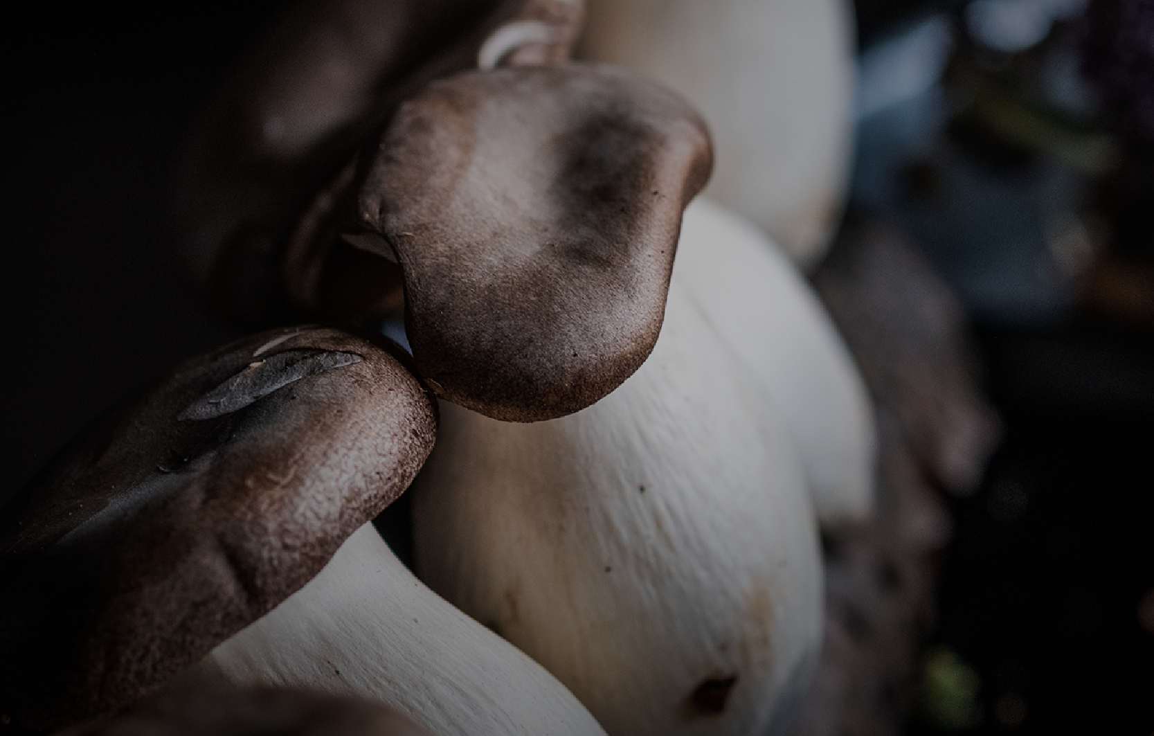 Image Stovell`s Blog