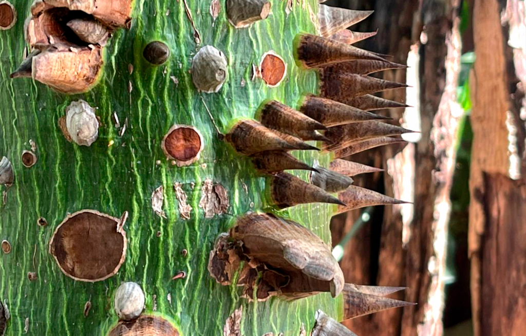 Image Stovell`s Blog