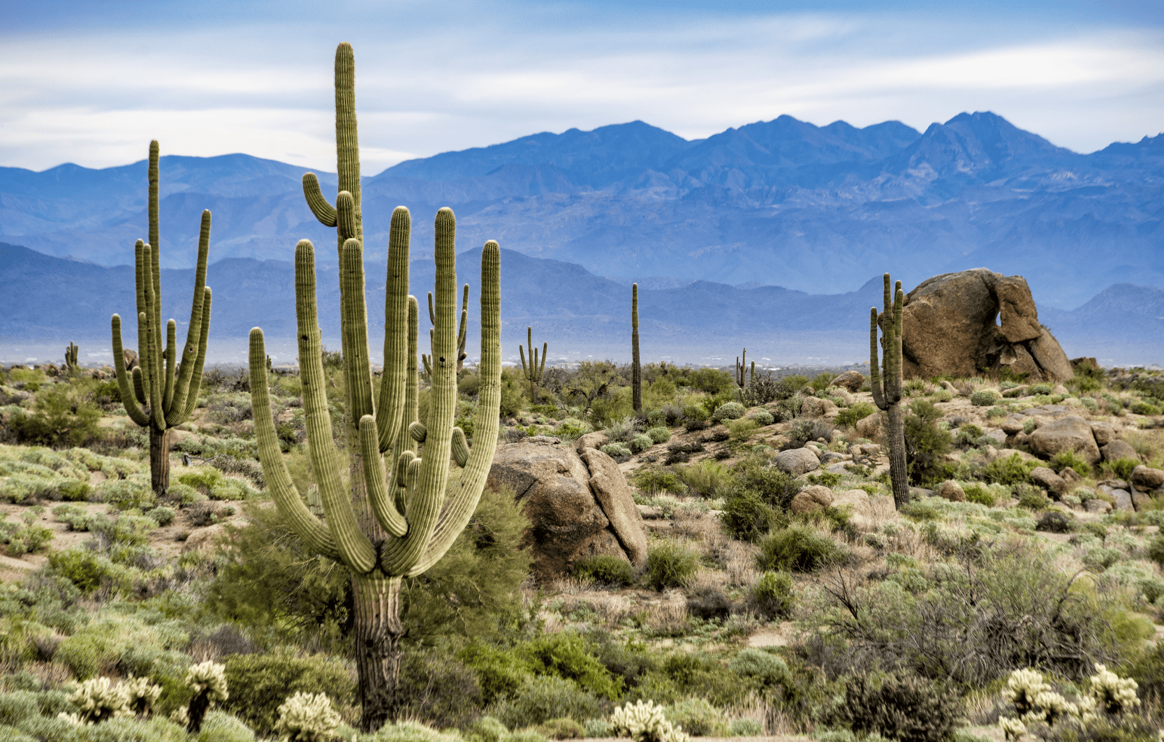 Image Stovell`s Blog