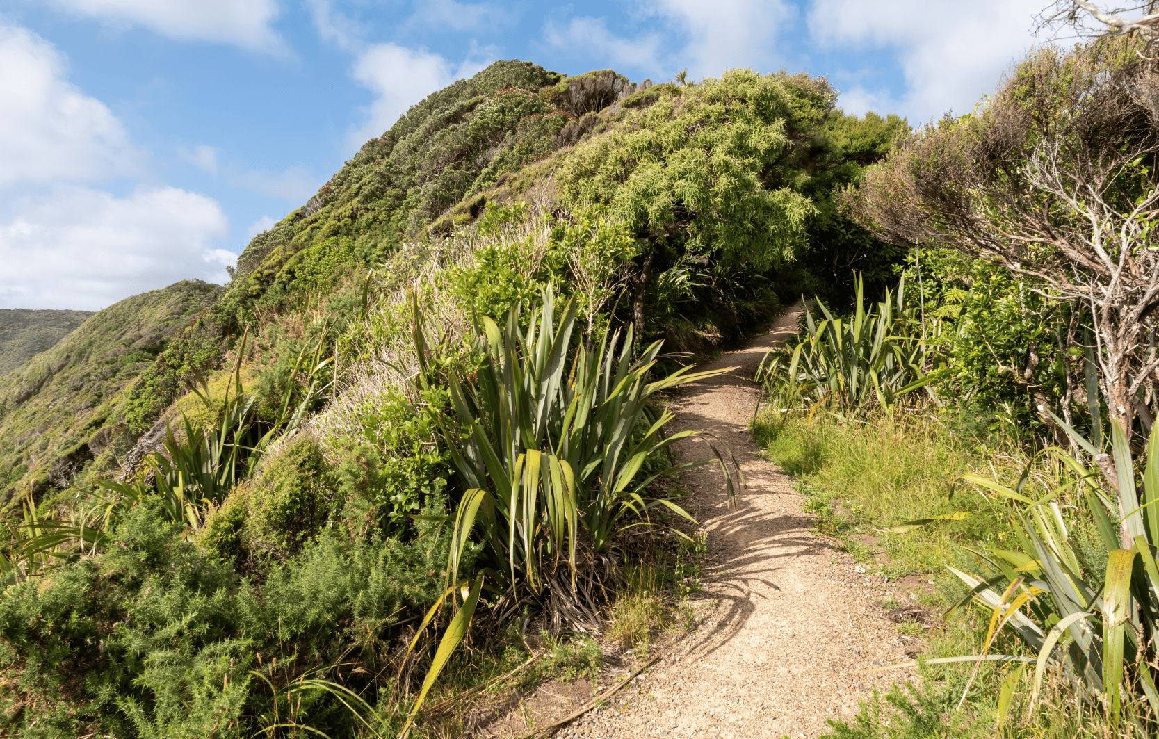 Image Stovell`s Blog