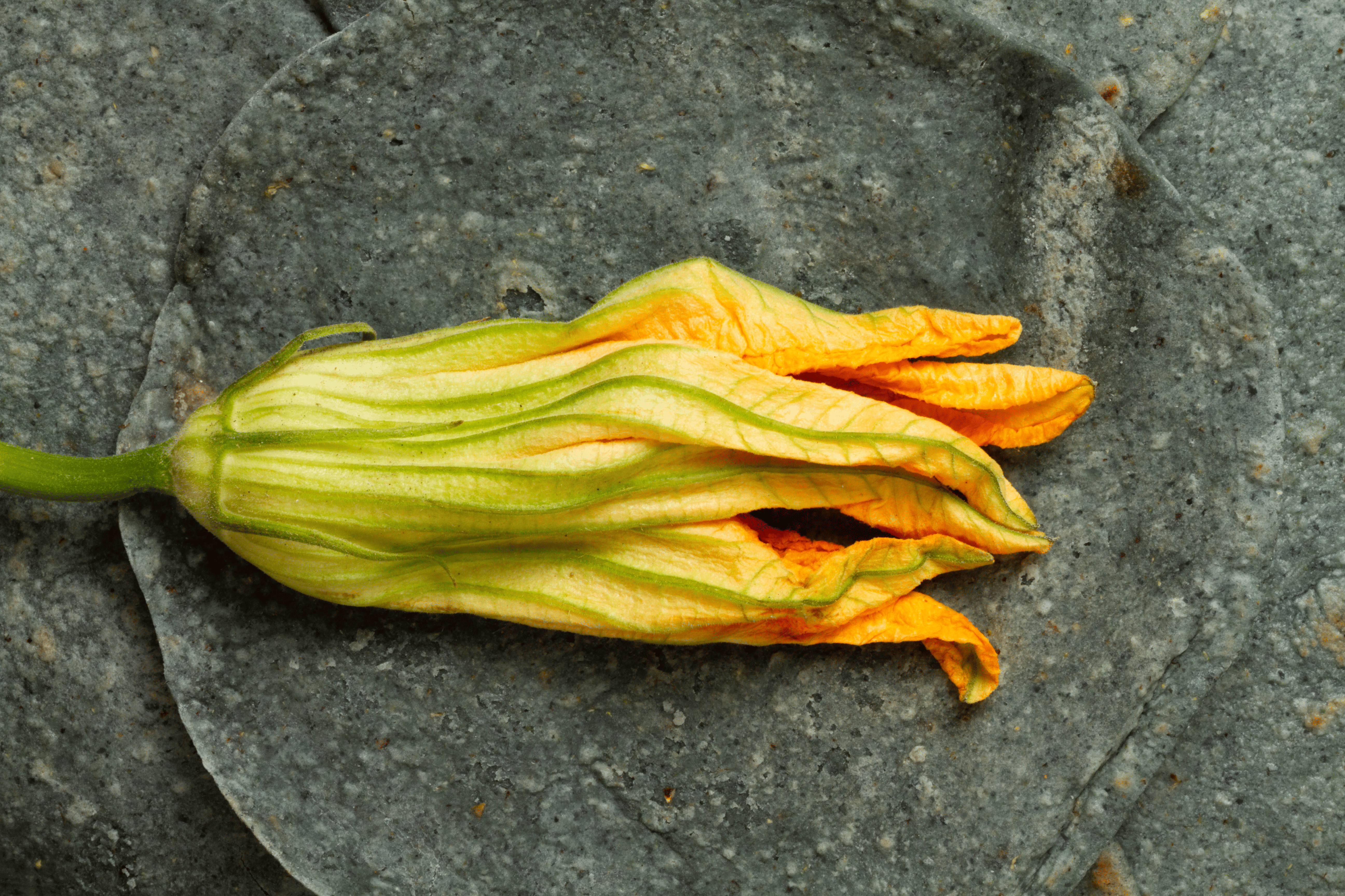 Image Stovell`s Blog