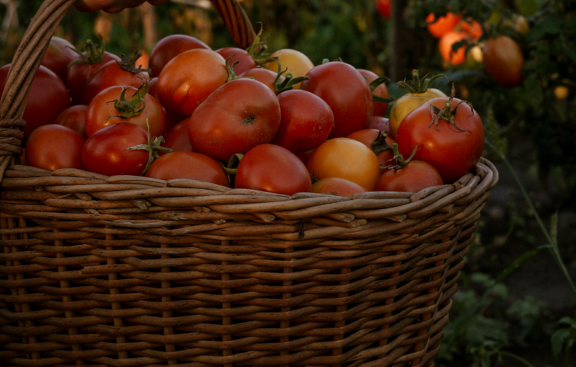 Image Stovell`s Blog